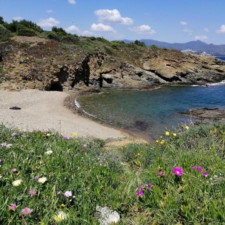 Casa Platja D'En Robert Villa El Port De La Selva Luaran gambar