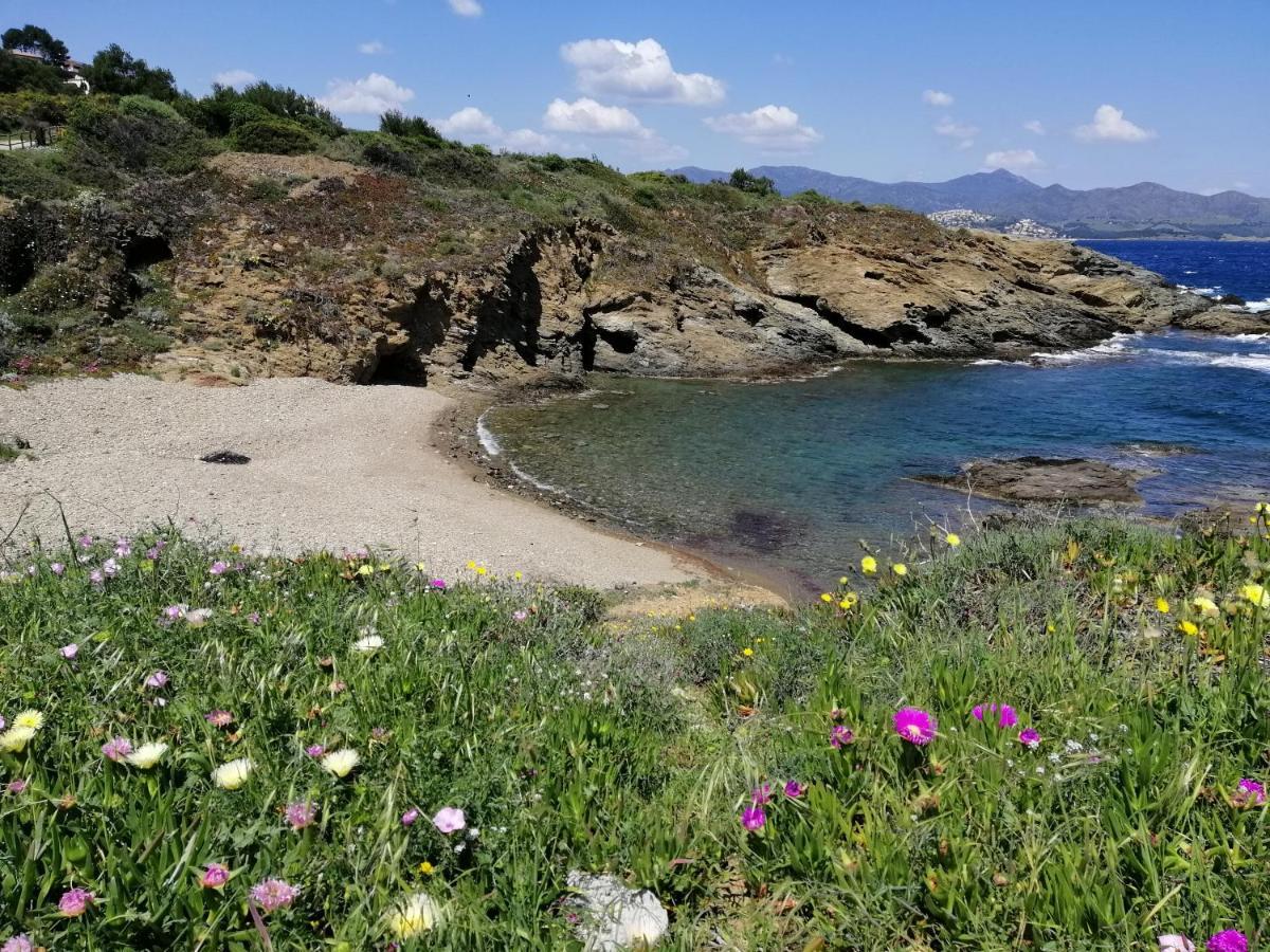 Casa Platja D'En Robert Villa El Port De La Selva Luaran gambar